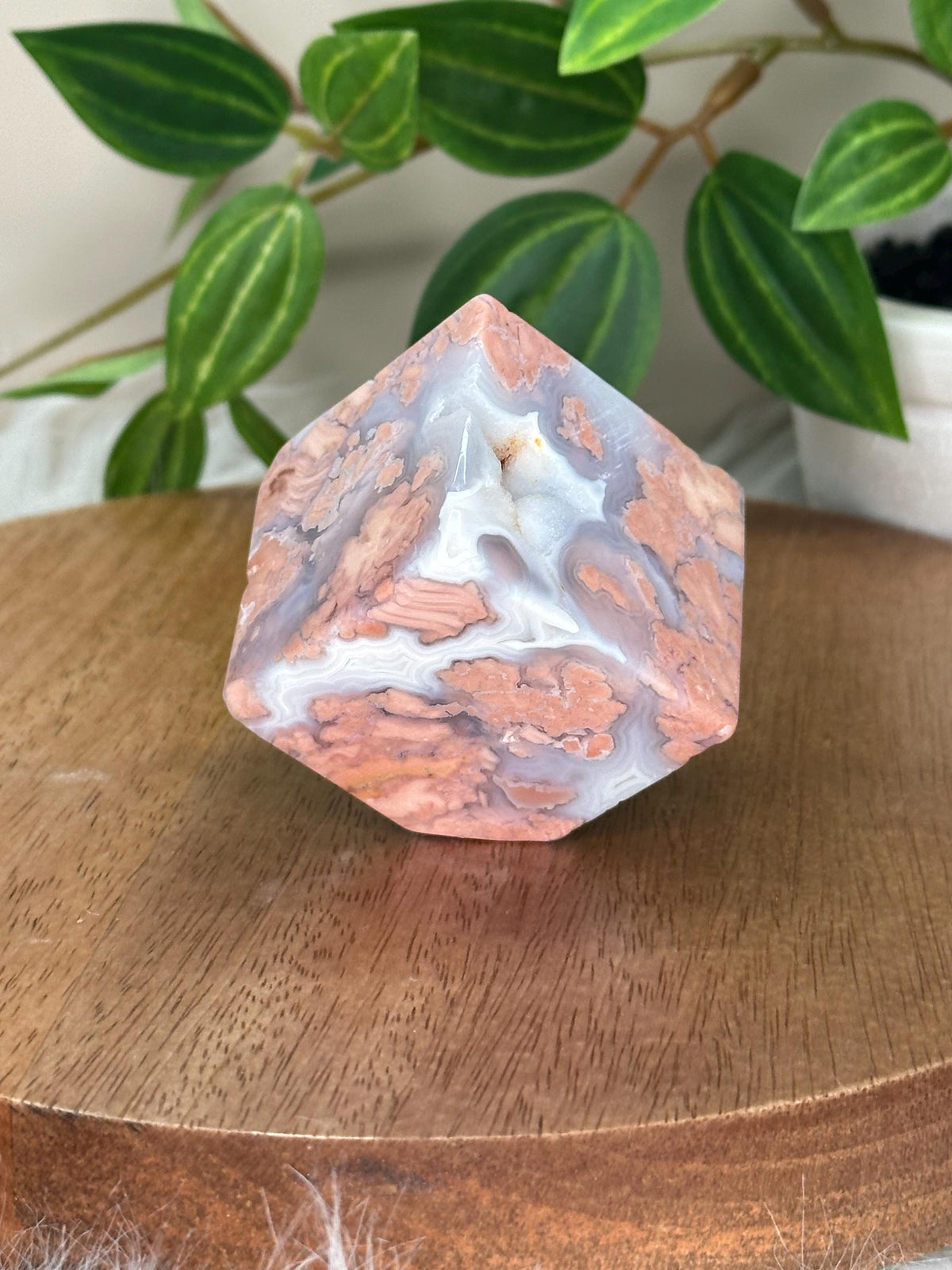 Floating Cube Cotton Candy Agate | Pastel-Toned Agate Formation | Natural Crystal with Unique Shape | Decorative Gemstone Specimen