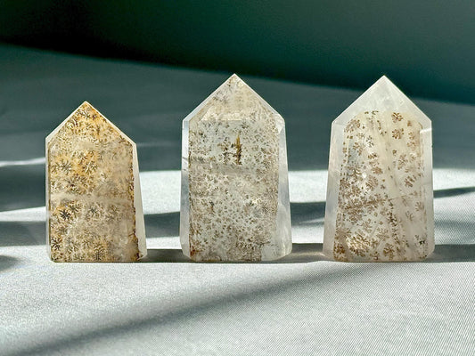 Small Dendritic Quartz Tower | Natural Crystal Point | Gemstone for Growth & Clarity | Meditation and Energy Balancing Stone