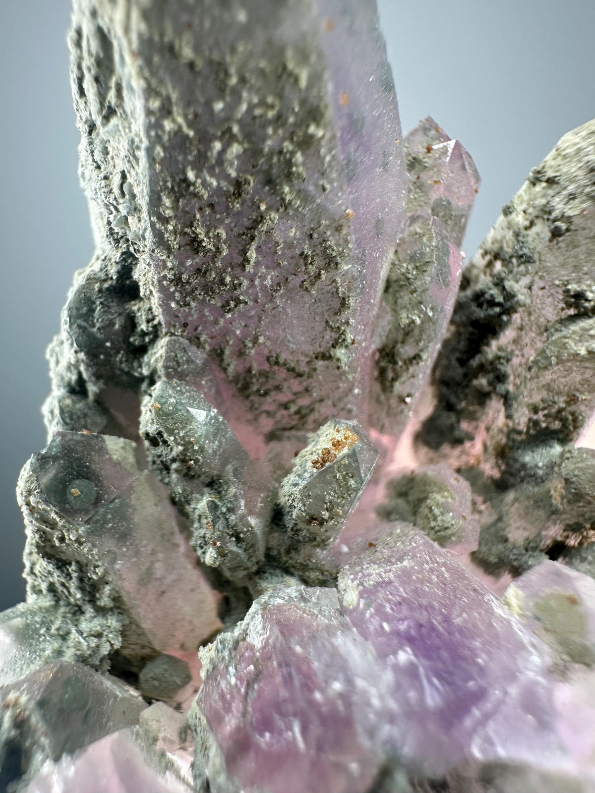Phantom Amethyst with Chlorite | Bulgaria Crystal Cluster for Intuition, Clarity | Rare Collector Display Specimen
