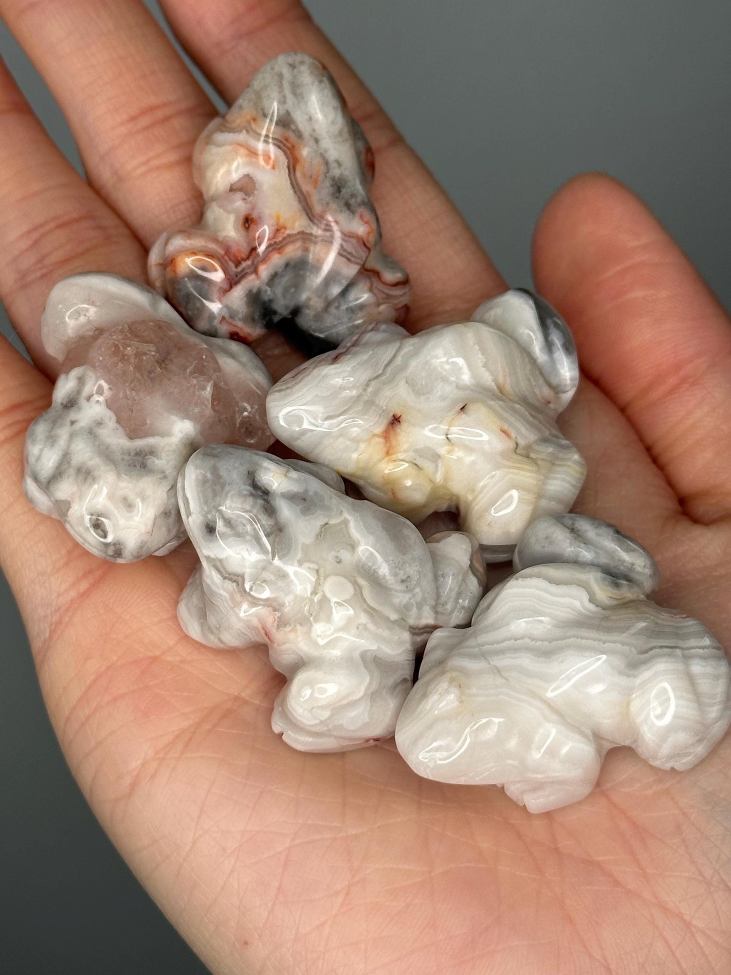 Crazy Lace Agate Frog Carving | Swirled Crystal Animal for Joy, Resilience & Focus | Hand-Carved Gemstone Figurine for Gift or Decor