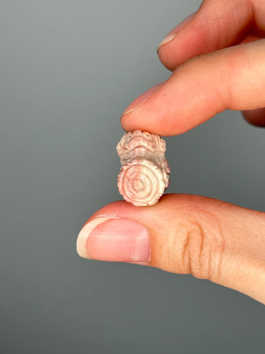 Mini Alashan Agate Money Toad on Log with Coins | Crystal Jin Chan Symbol for Wealth & Luck | Polished Gemstone Feng Shui Decor