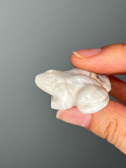 Crazy Lace Agate Frog Carving | Swirled Crystal Animal for Joy, Resilience & Focus | Hand-Carved Gemstone Figurine for Gift or Decor