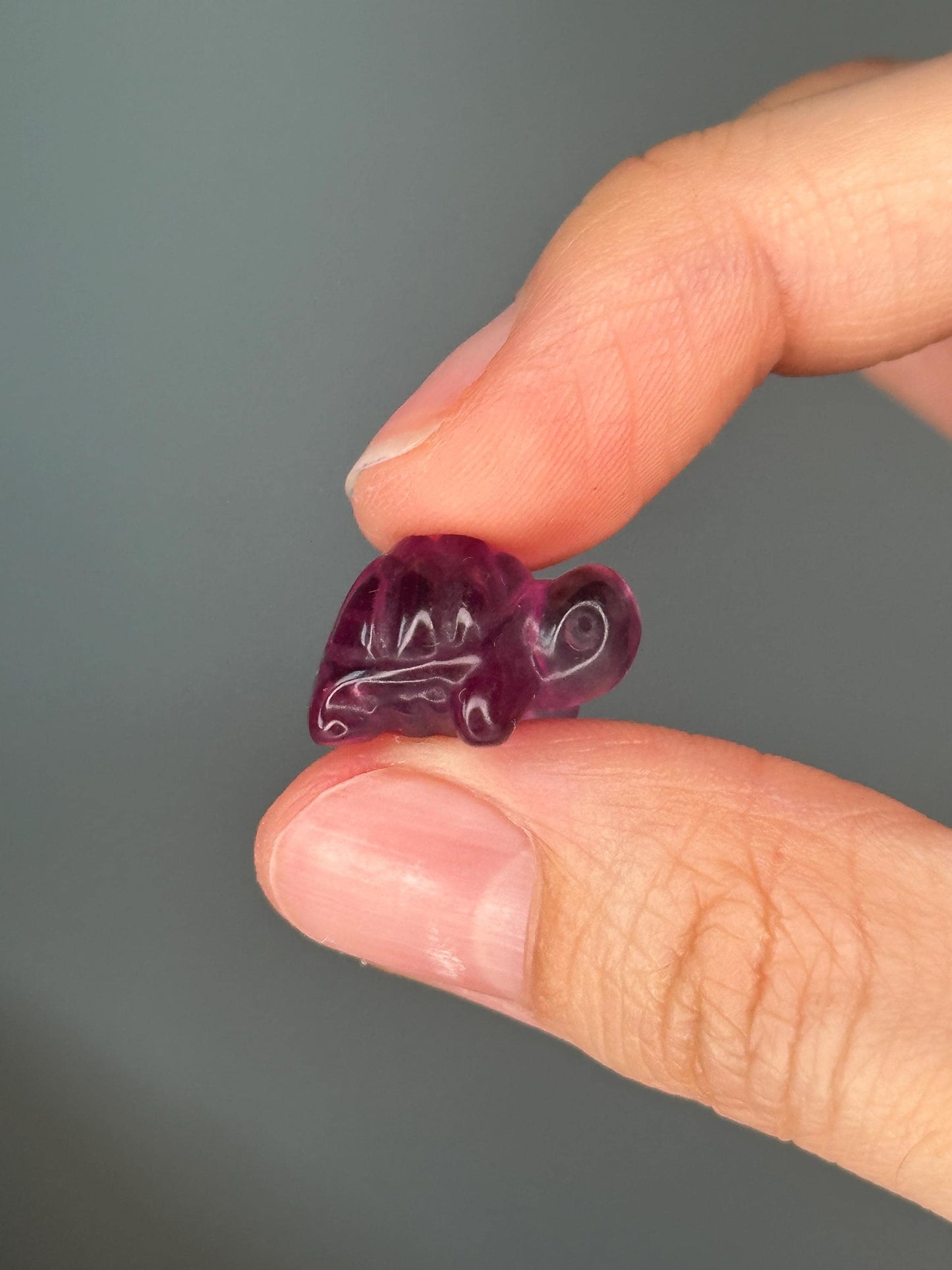 Mini Fluorite Turtle Carving | Crystal Symbol of Protection, Longevity & Wisdom | Pocket Gemstone Animal for Good Energy