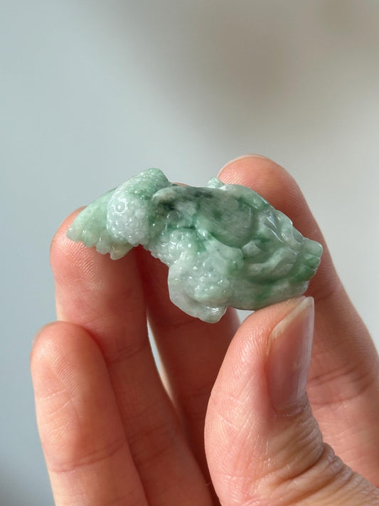 Green Jade Money Frog – YOU PICK! Feng Shui Wealth Toad, Carved Gemstone Prosperity Symbol, Lucky Decor, Abundance Statue for Home or Office