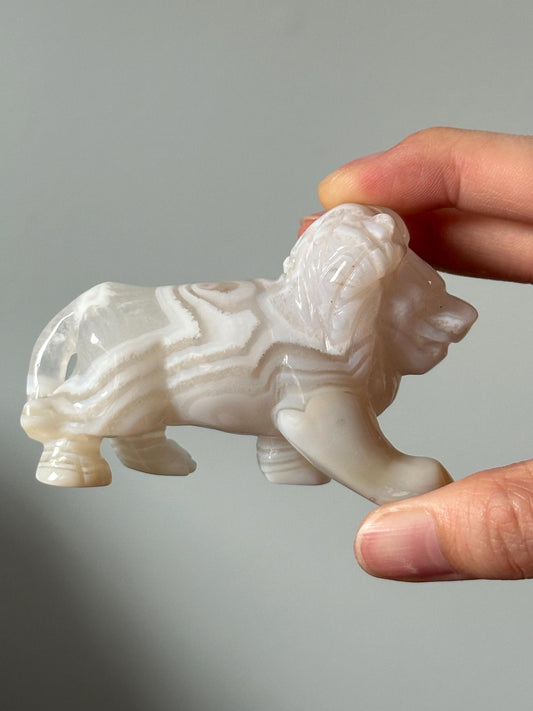 White Banded Agate Lion – YOU PICK!