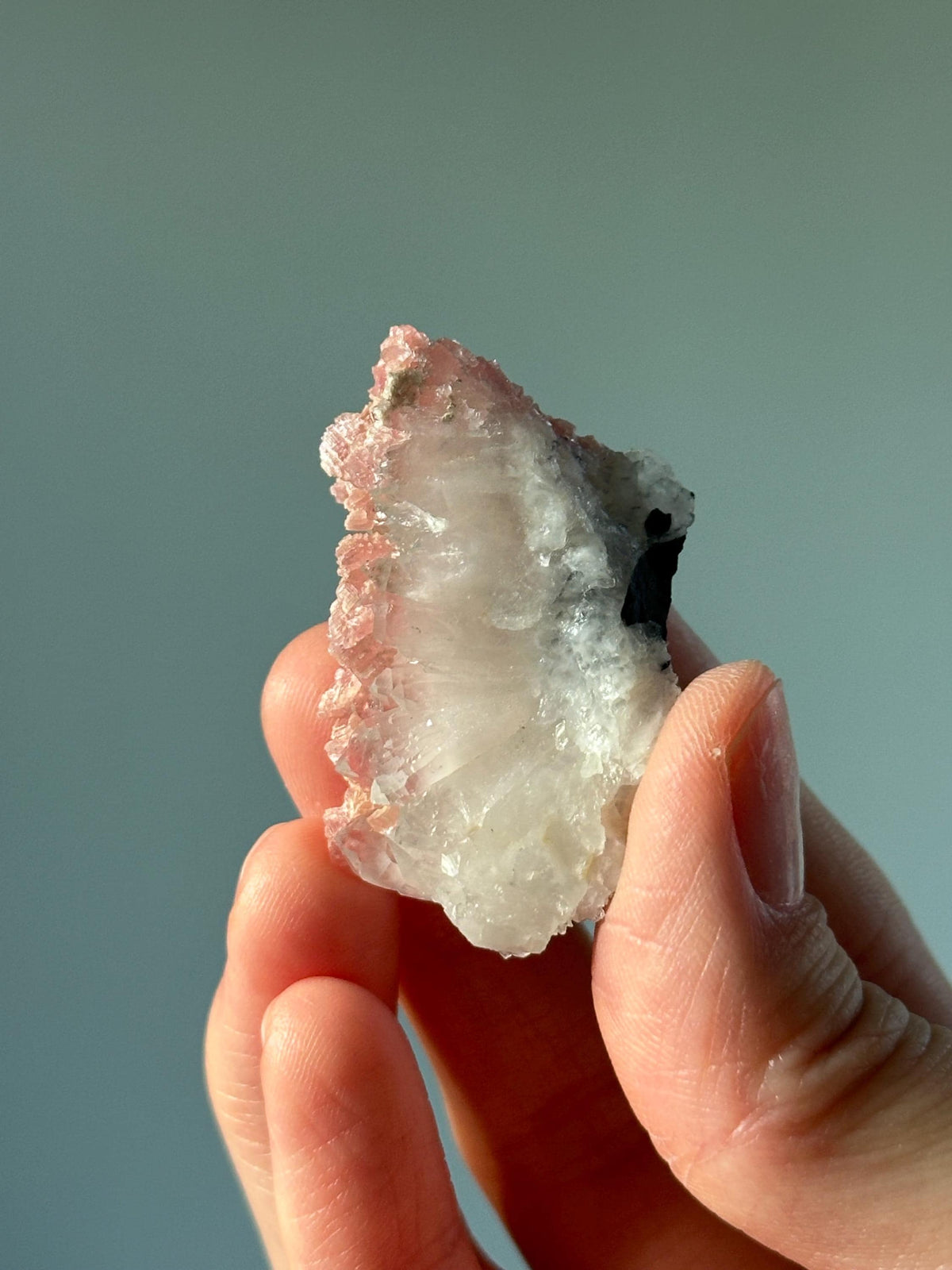 Rhodochrosite Petals on Quartz – Rare Specimen from Wutong Mine China, Pink Crystal Petals on Quartz, Collector Mineral Display
