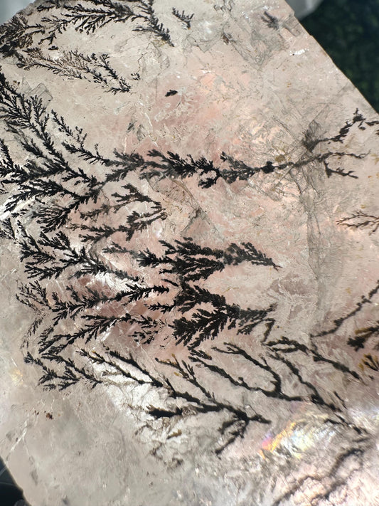 Dendritic Calcite Crystal from Brazil | Natural Veined Healing Stone | Unique Patterned Calcite Mineral Specimen | Earthy Crystal Decor Gift