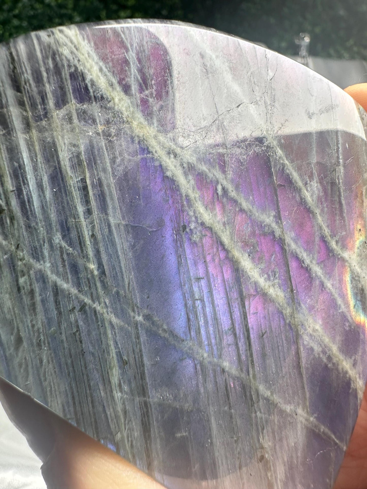 Labradorite Freeform | Natural Flashy Labradorite Carving | Polished Crystal Display Piece for Collectors & Home Decor