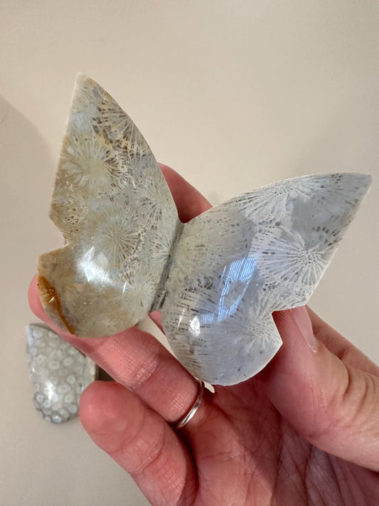 Wholesale Fossilized Coral Butterfly Carving | Natural Prehistoric Coral Stone | Polished Butterfly Crystal Carvings for Resale & Collectors