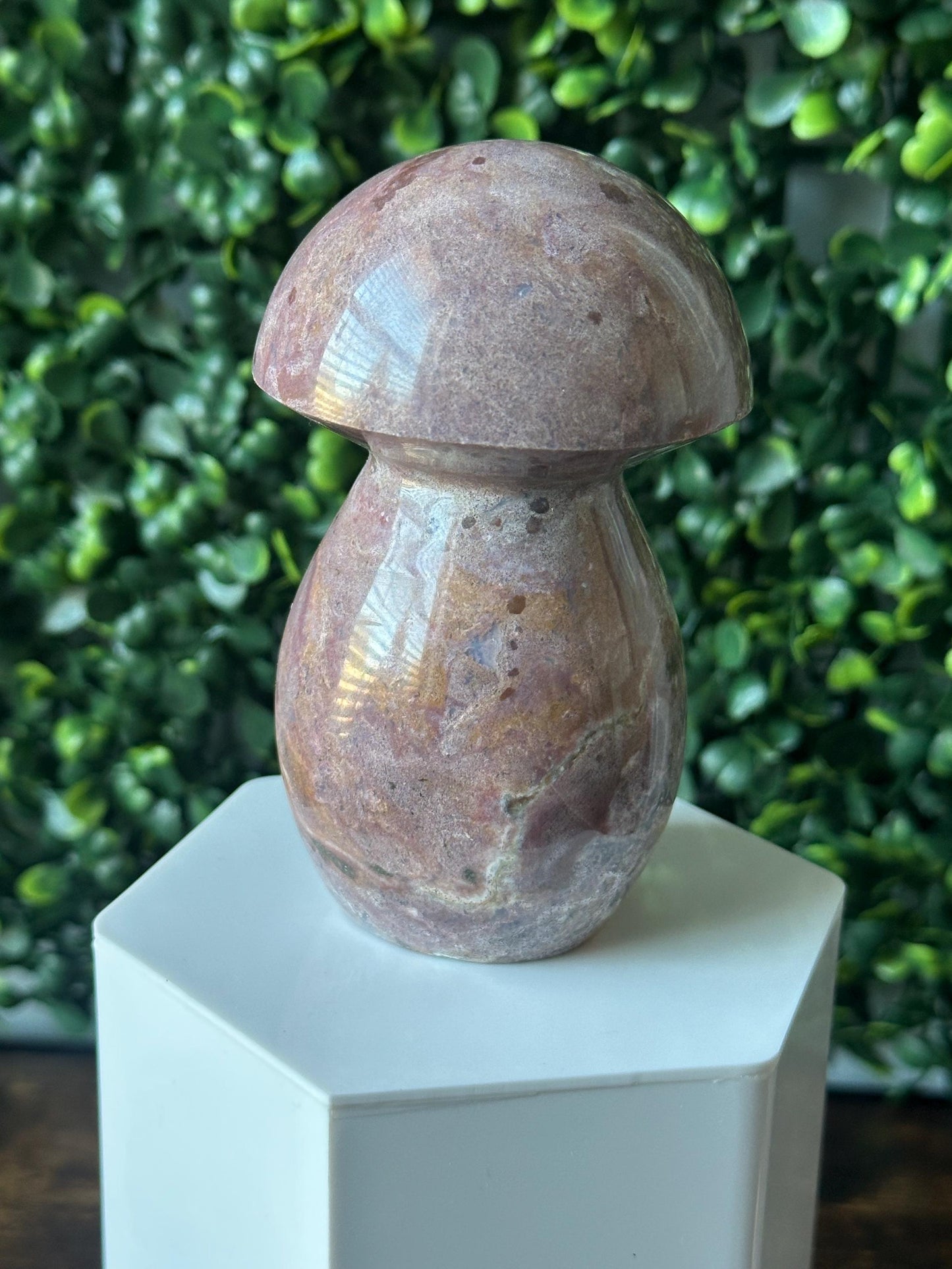 Sea Jasper Mushroom Carving | Natural Ocean Jasper Stone Sculpture | Polished Crystal Mushroom Mineral Specimen for Collectors Display Decor