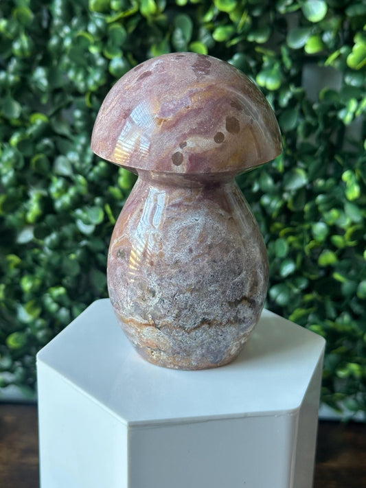 Sea Jasper Mushroom Carving | Natural Ocean Jasper Stone Sculpture | Polished Crystal Mushroom Mineral Specimen for Collectors Display Decor