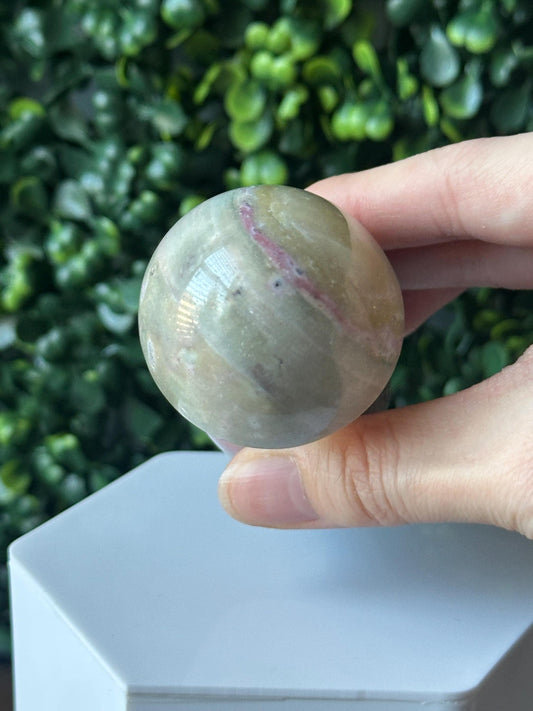 Sea Jasper Mushroom Carving | Natural Ocean Jasper Stone Sculpture | Polished Crystal Mushroom Mineral Specimen for Collectors Display Decor