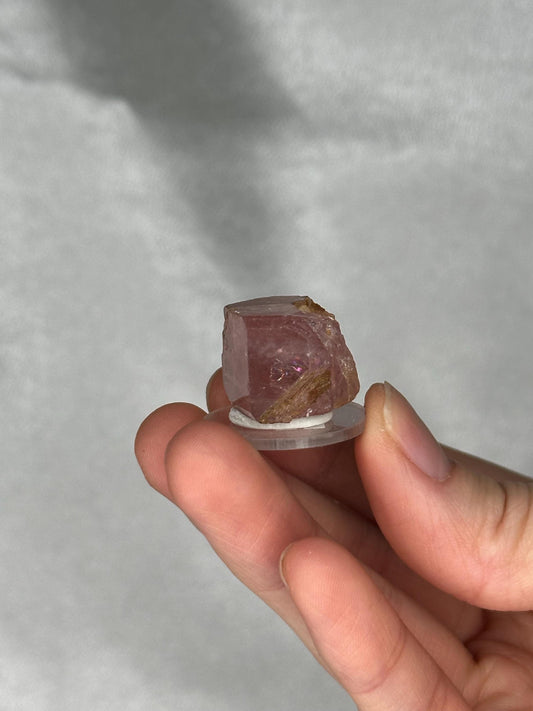 Gemmy Pink Apatite Specimen | Rosy Crystal Formation | Natural Mineral Display Piece | Collector Showcase Decorative Accent