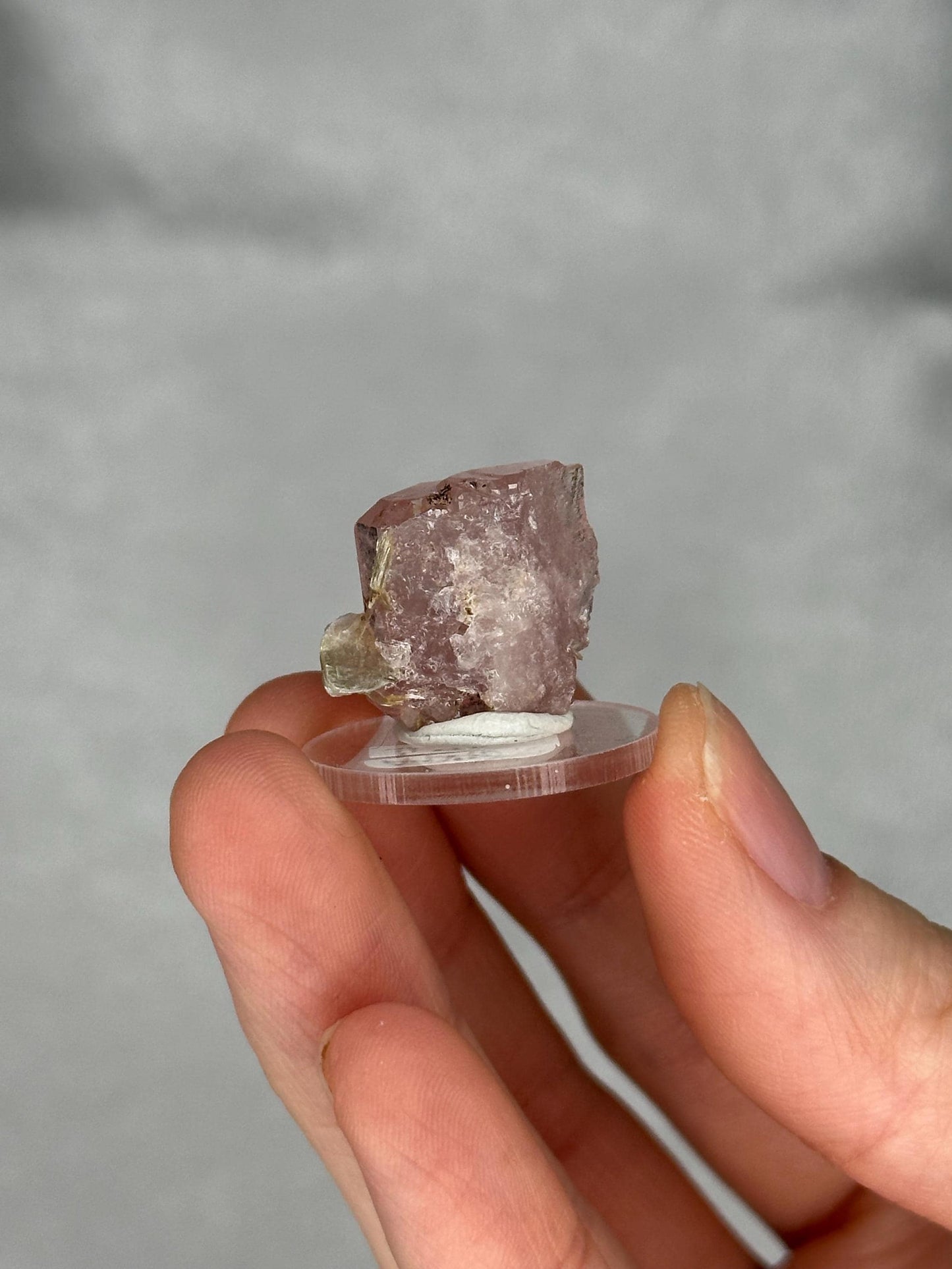 Gemmy Pink Apatite Muscovite Specimen | Rosy Crystal Formation | Natural Mineral Display Piece | Collector Showcase Decorative Accent