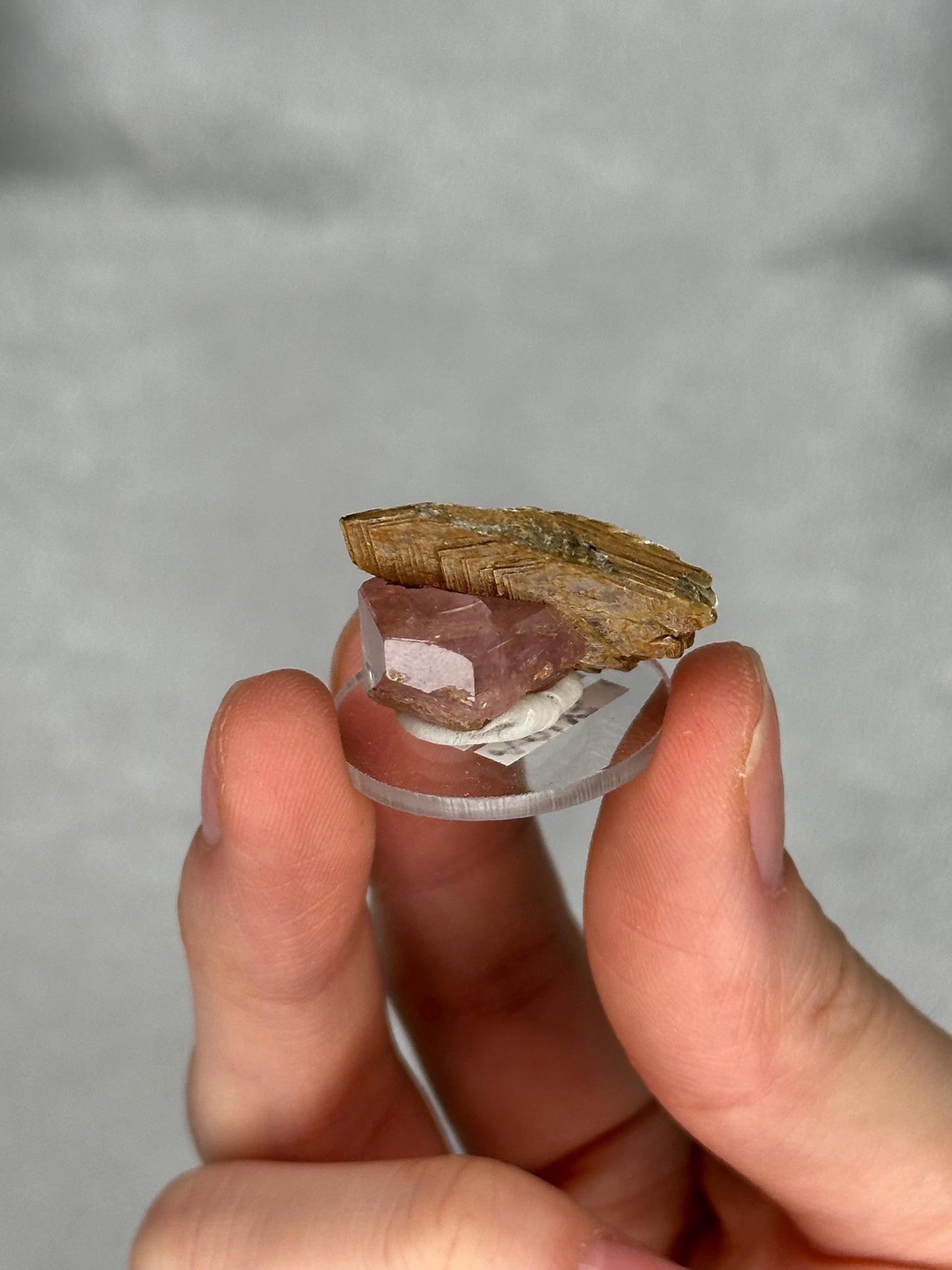 Gemmy Pink Apatite Muscovite Specimen | Rosy Crystal Formation | Natural Mineral Display Piece | Collector Showcase Decorative Accent