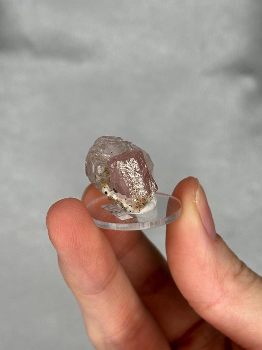 Pink Apatite with Clear Fluorite | Natural Crystal Association | Raw Mineral Display Piece | Collector Showcase Decorative Accent