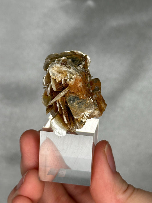 Gemmy Pink Apatite Muscovite Specimen | Rosy Crystal Formation | Natural Mineral Display Piece | Collector Showcase Decorative Accent