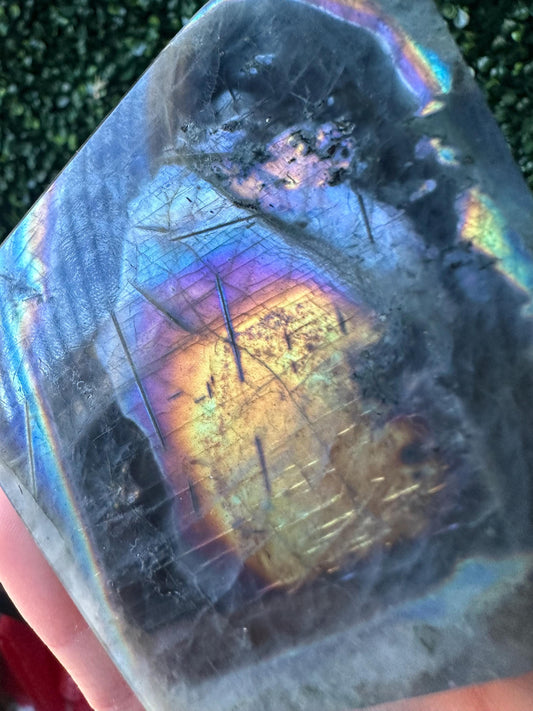 Labradorite Freeform | Natural Flashy Labradorite Carving | Polished Crystal Display Piece for Collectors & Home Decor