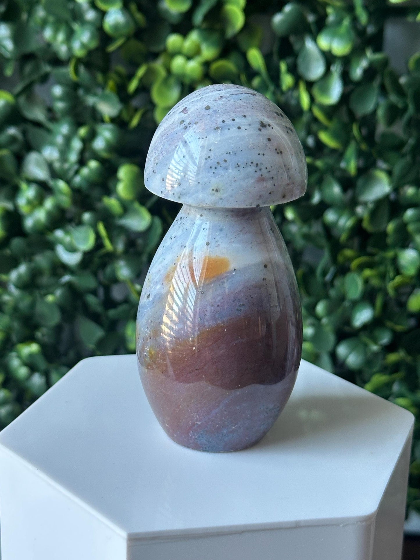 Sea Jasper Mushroom Carving | Natural Ocean Jasper Stone Sculpture | Polished Crystal Mushroom Mineral Specimen for Collectors Display Decor