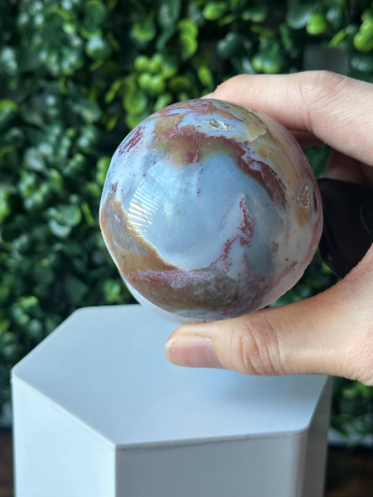Sea Jasper Mushroom Carving | Natural Ocean Jasper Stone Sculpture | Polished Crystal Mushroom Mineral Specimen for Collectors Display Decor