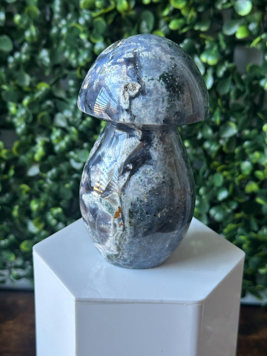 Sea Jasper Mushroom Carving | Natural Ocean Jasper Stone Sculpture | Polished Crystal Mushroom Mineral Specimen for Collectors Display Decor