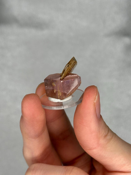 Gemmy Pink Apatite Muscovite Specimen | Rosy Crystal Formation | Natural Mineral Display Piece | Collector Showcase Decorative Accent