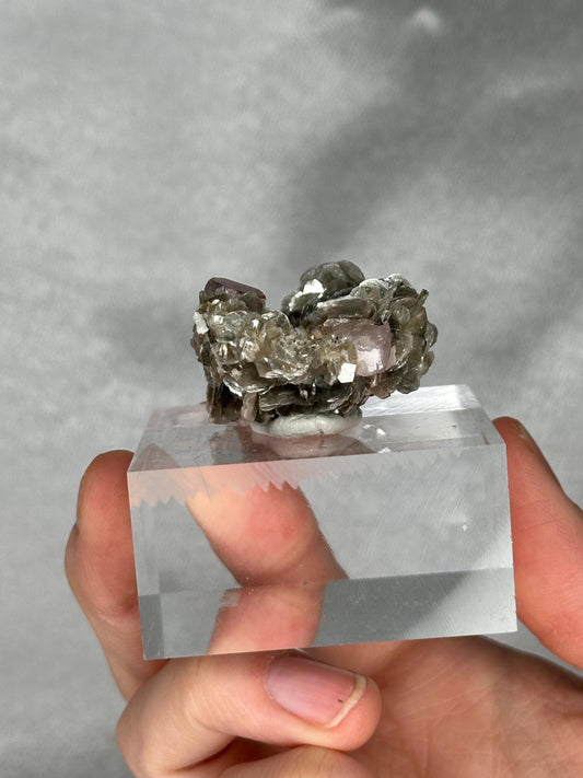 Gemmy Pink Apatite Muscovite Specimen | Rosy Crystal Formation | Natural Mineral Display Piece | Collector Showcase Decorative Accent