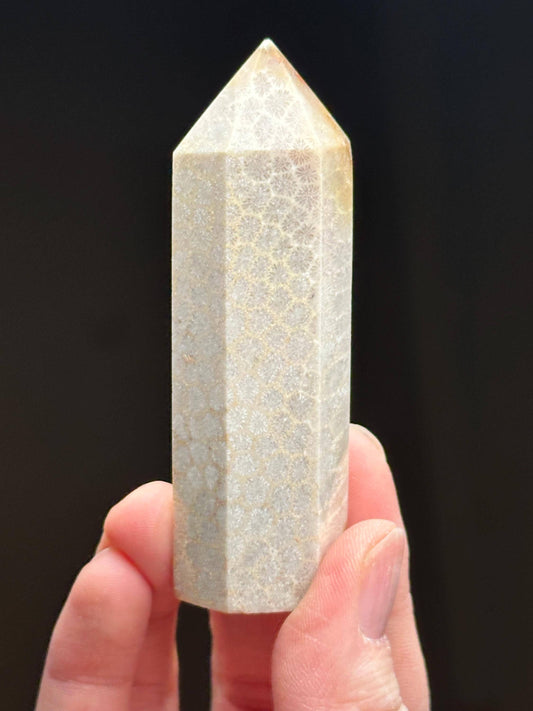 Fossilized Coral Towers - YOU PICK! | Natural Coral Fossil Crystal Points | Polished Mineral Specimens for Collectors Display Decor