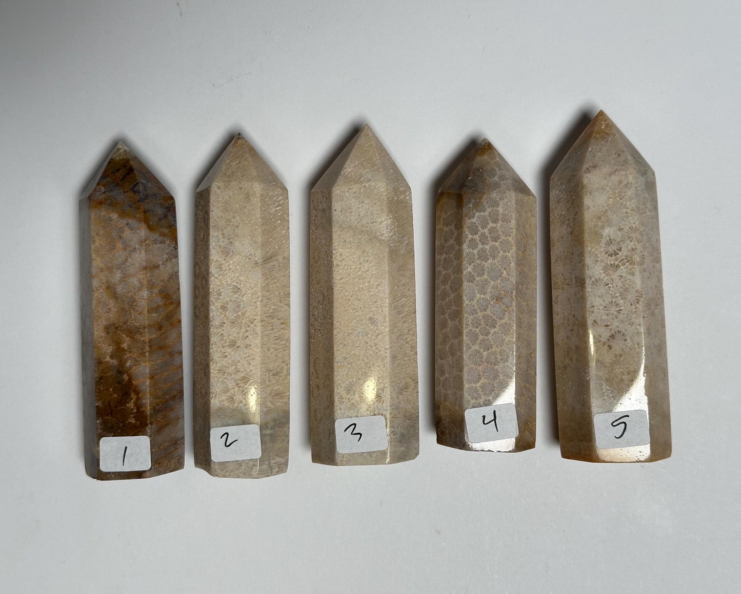 Fossilized Coral Towers - YOU PICK! | Natural Coral Fossil Crystal Points | Polished Mineral Specimens for Collectors Display Decor