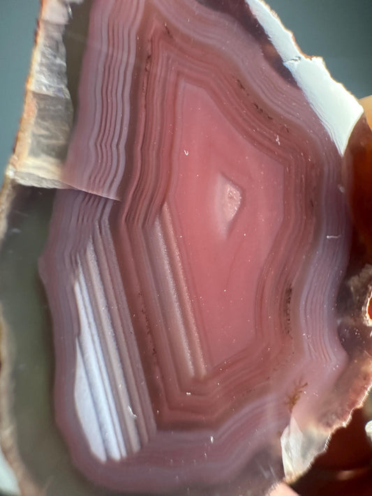 Mini Rose Swazi Agate Specimen Slice | Natural Banded Agate Mineral Cut Slab | Small Collector Display Piece from Mozambique