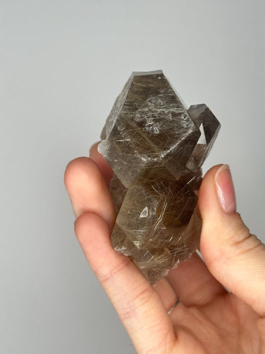 Smoky Quartz Cluster with Golden Rutile Inclusions | Sparkling Crystal for Energy Clearing, Focus, and Elevated Decor