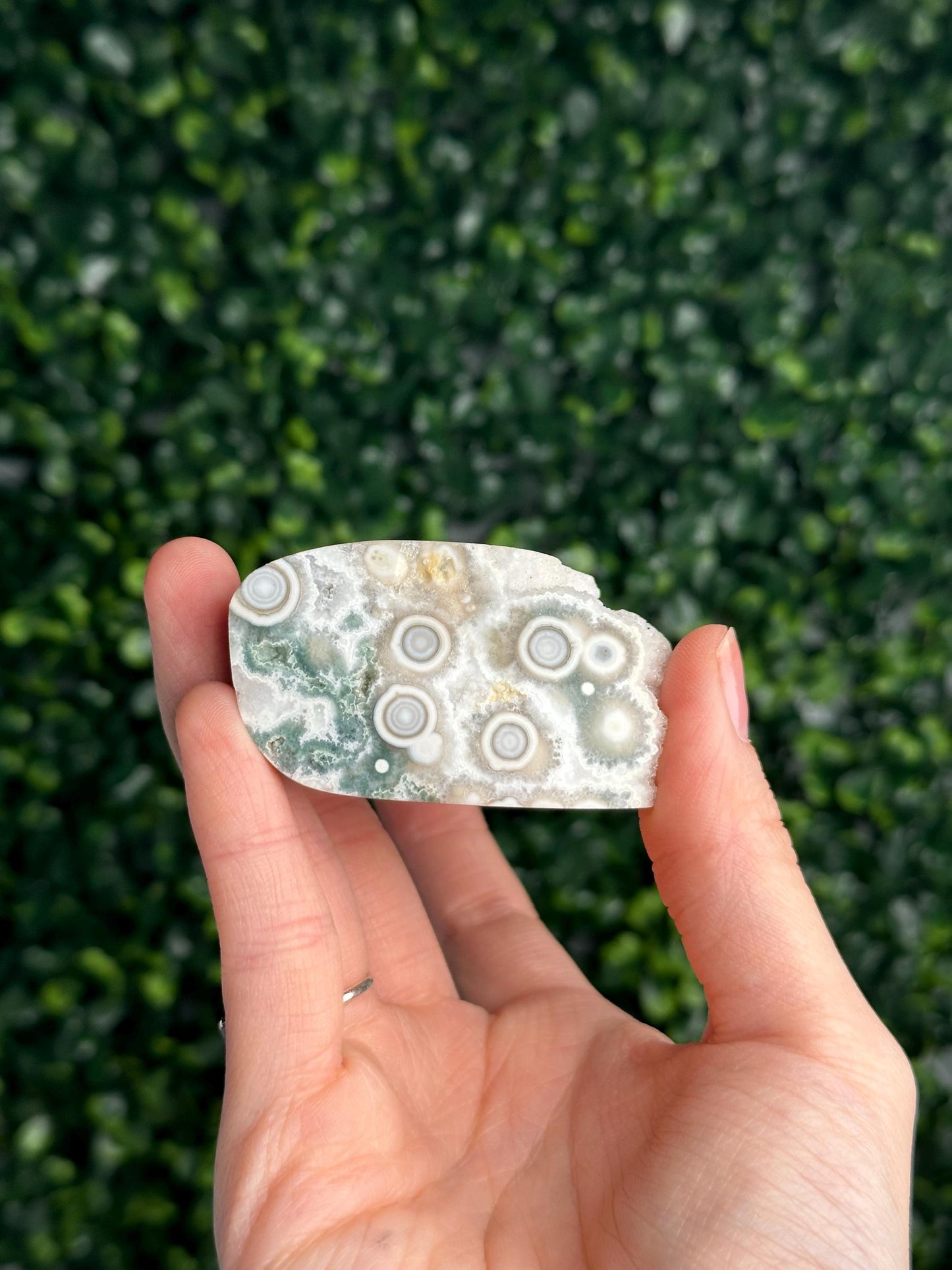 Ocean Jasper Freeform | Natural 2nd Vein Druzy Orbicular Jasper Crystal | Polished Madagascar Gemstone Display, Home Decor & Collector Gift