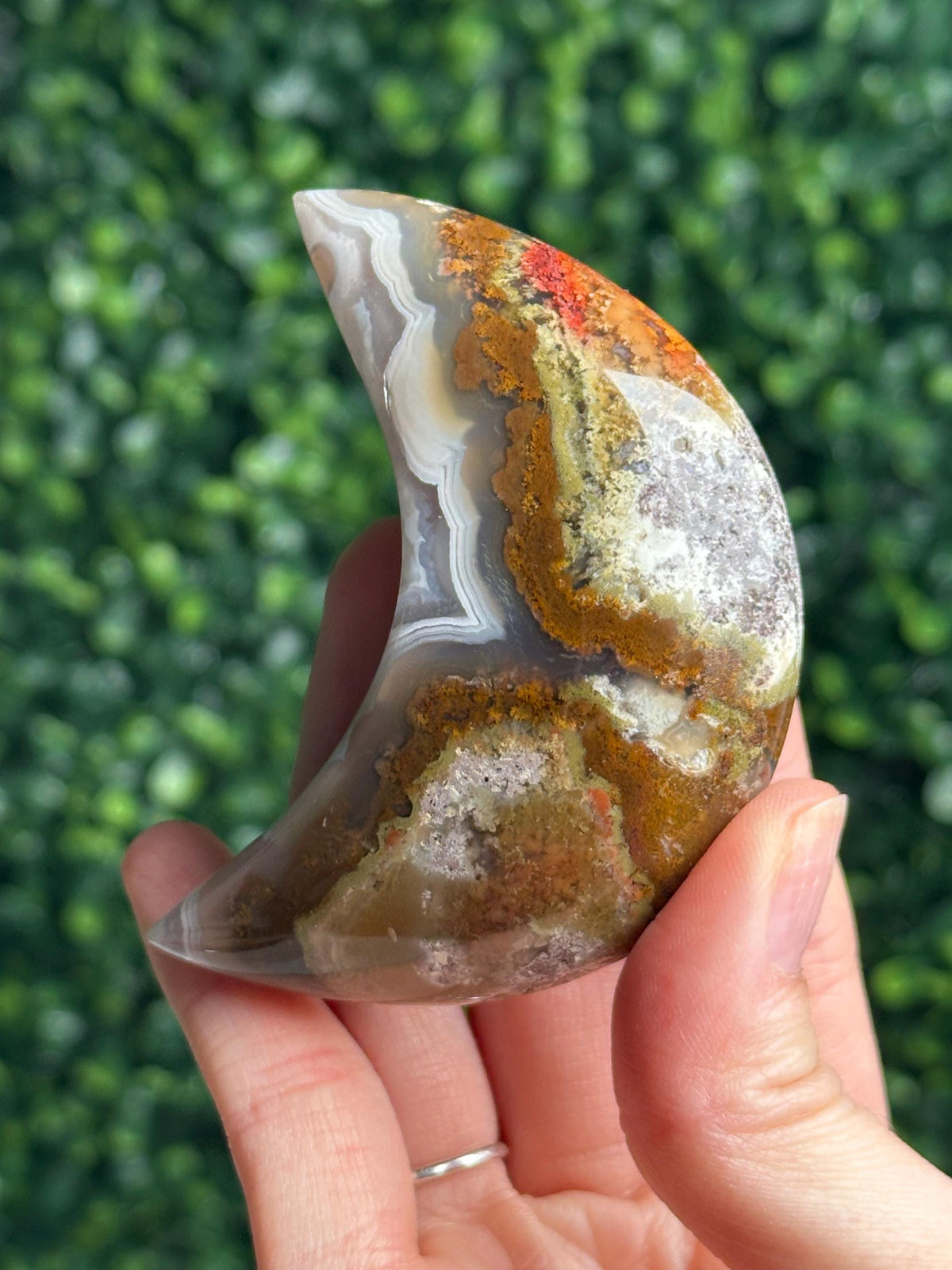 Scenic Moss Agate Moon with Dendritic Inclusions on Stand | Natural Landscape Crystal Crescent | Mineral Specimen Collector Display Decor