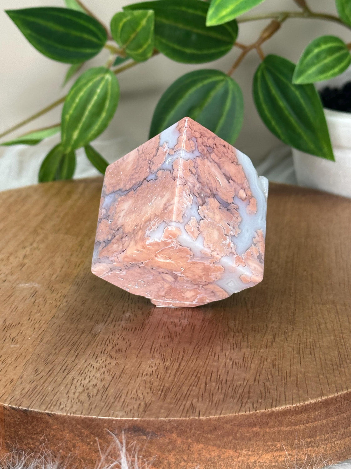 Floating Cube Cotton Candy Agate | Pastel-Toned Agate Formation | Natural Crystal with Unique Shape | Decorative Gemstone Specimen