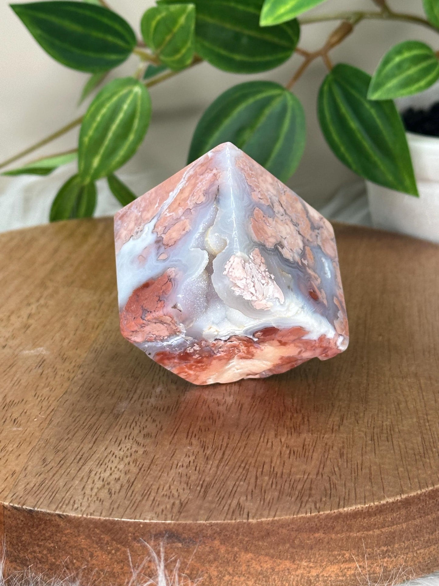 Floating Cube Cotton Candy Agate | Pastel-Toned Agate Formation | Natural Crystal with Unique Shape | Decorative Gemstone Specimen