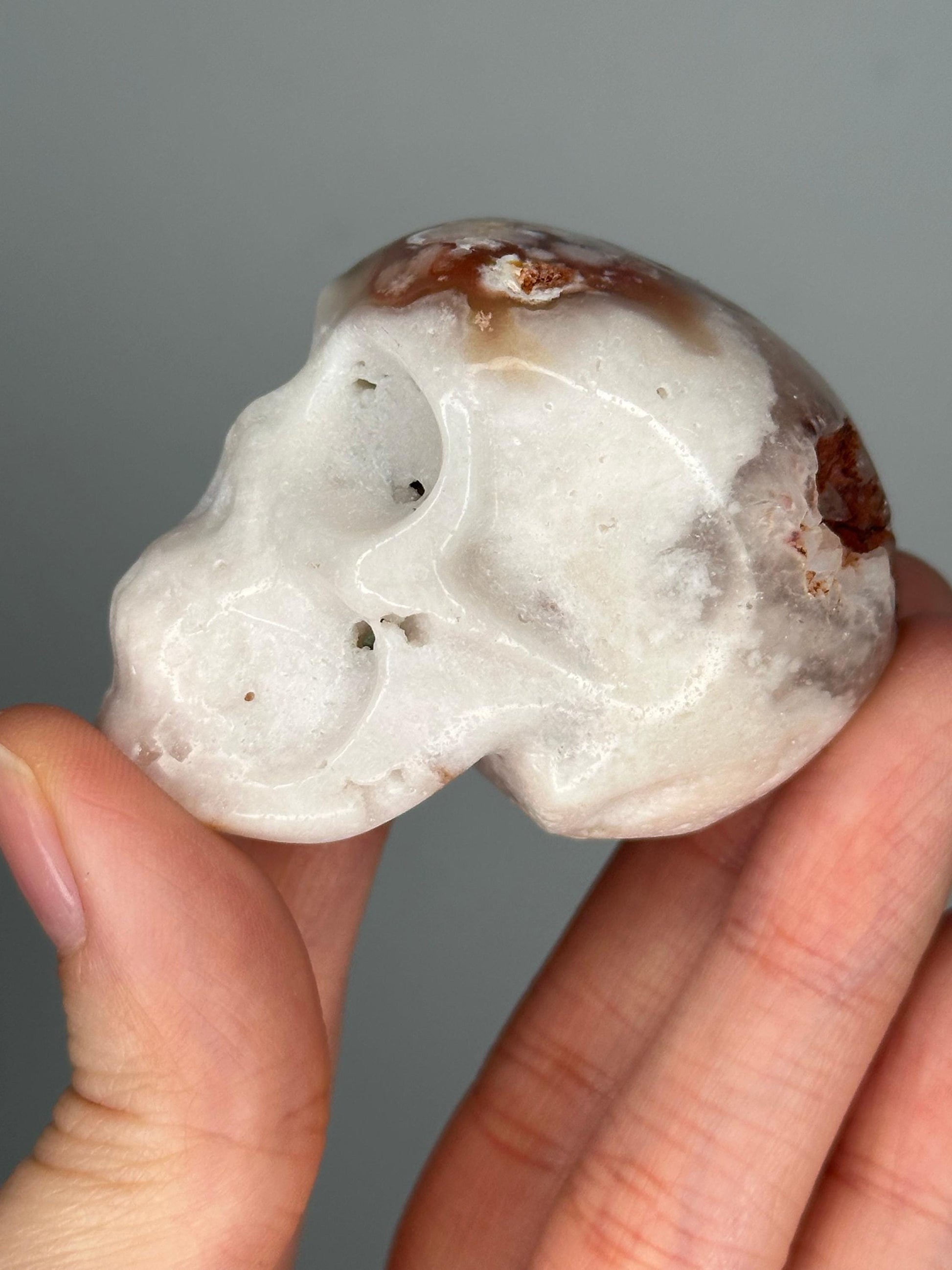 Small Flower Agate Skull | Carved Crystal Figurine | Natural Gemstone with Floral Patterns | Unique Decor & Display Piece