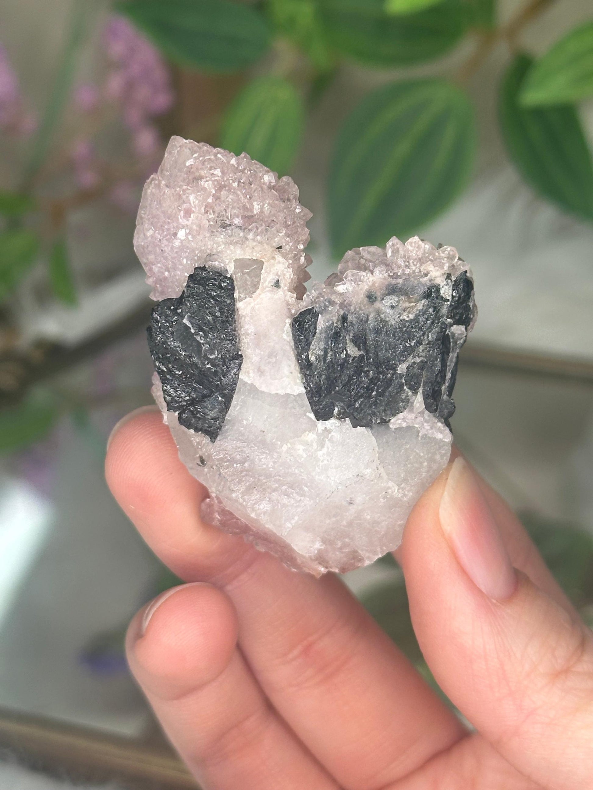 Crystallized Rose Quartz with Black Tourmaline on Stand | Natural Crystal Display | Raw Pink Quartz with Tourmaline Inclusions