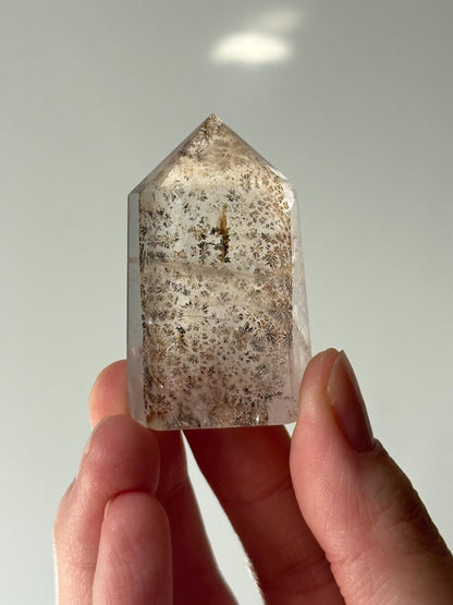 Small Dendritic Quartz Tower | Natural Crystal Point | Gemstone for Growth & Clarity | Meditation and Energy Balancing Stone
