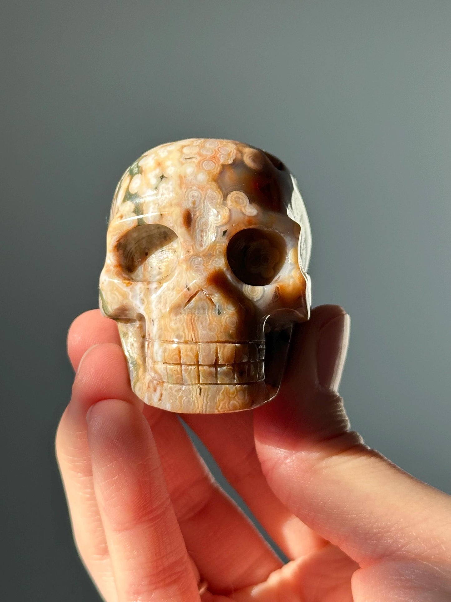 Ocean Jasper Crystal Skull | Orbicular Jasper Carving from Madagascar | Calming Decorative Stone | Unique Patterned Healing Crystal