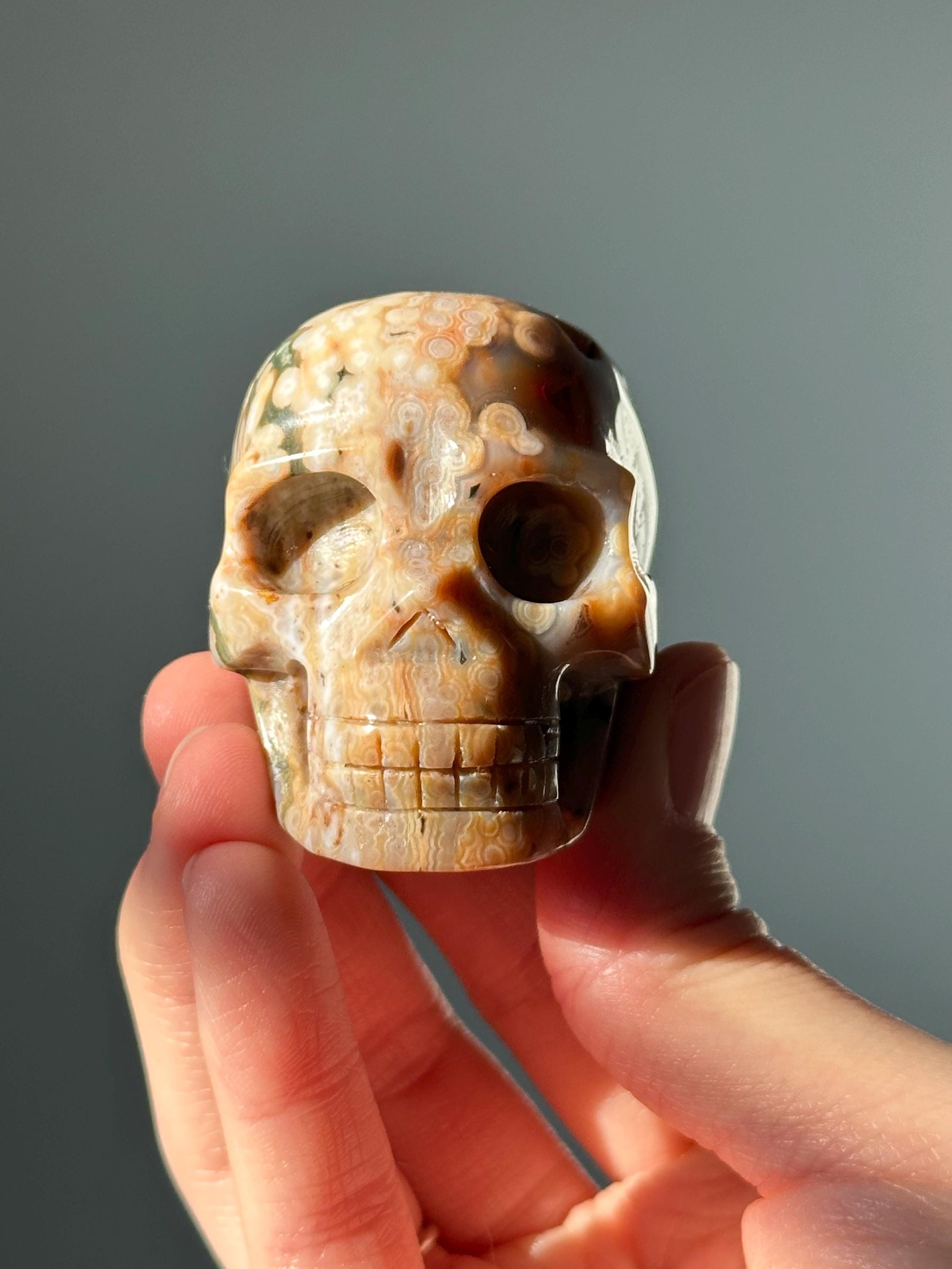 Ocean Jasper Crystal Skull | Orbicular Jasper Carving from Madagascar | Calming Decorative Stone | Unique Patterned Healing Crystal