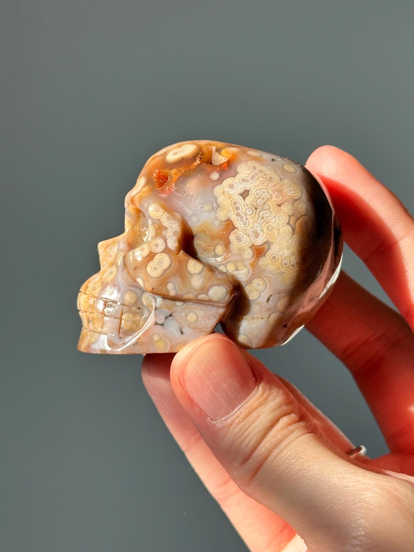Ocean Jasper Crystal Skull | Orbicular Jasper Carving from Madagascar | Calming Decorative Stone | Unique Patterned Healing Crystal