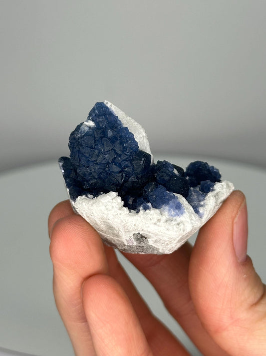 Blueberry Fluorite on Candle Quartz | Natural Crystal Cluster | Unique Mineral Formation | Fluorite on Quartz Specimen | Inner Mongolia