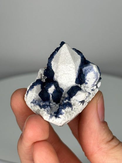 Blueberry Fluorite on Candle Quartz | Natural Crystal Cluster | Unique Mineral Formation | Fluorite on Quartz Specimen | Inner Mongolia