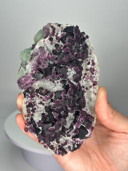 Purple Fluorite from Zhejiang China | Vibrant Crystal for Intuition and Spiritual Growth | Unique Collector’s Mineral | Stone Decor