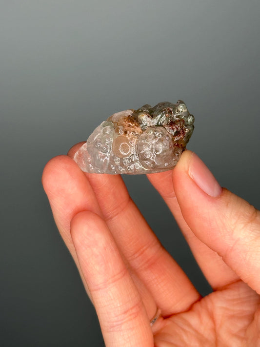 Garden Quartz Money Frog