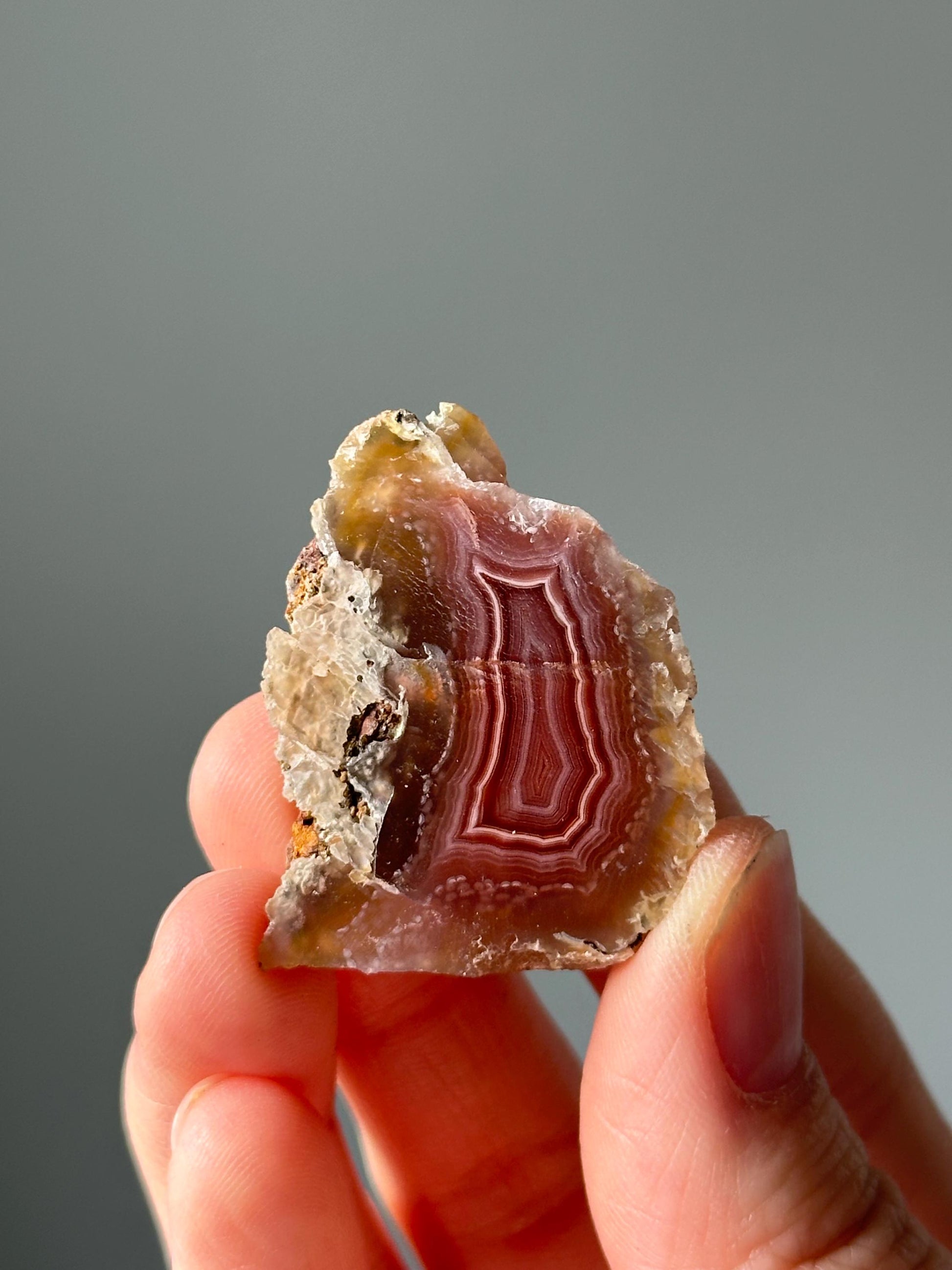 Mini Laguna Agate Crystal Slice | Banded Agate for Grounding, Protection, and Focus | Polished Stone for Energy, Display, or Gift