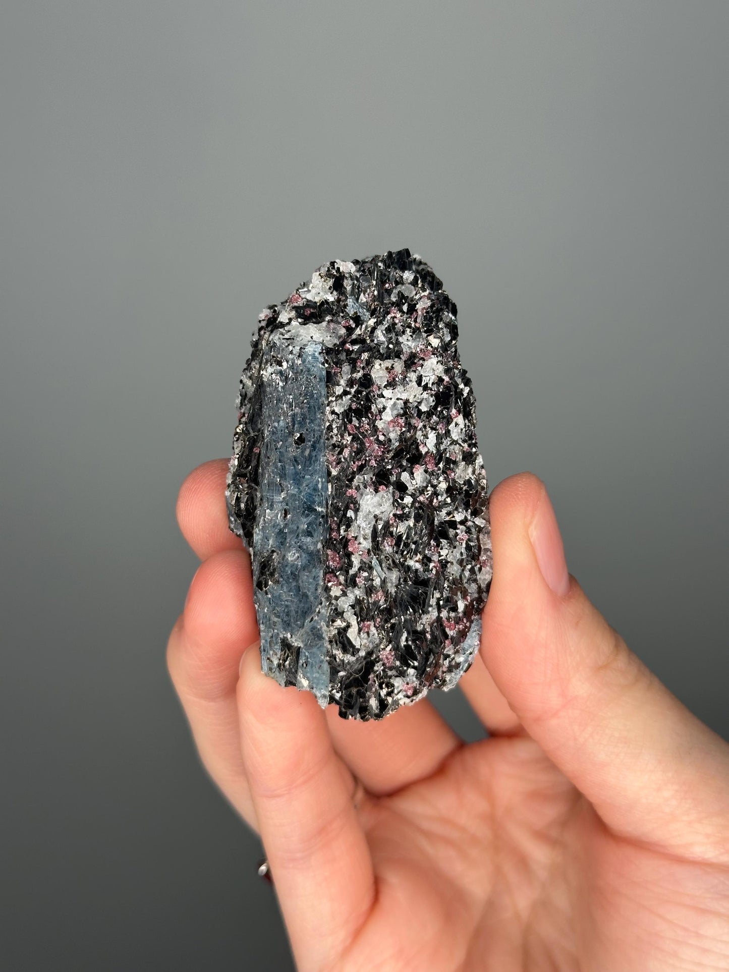 Kyanite Garnet Albite Biotite Quartz Specimen | Raw Crystal Cluster for Mineral Collectors | Energy Balance and Protection | Rare!