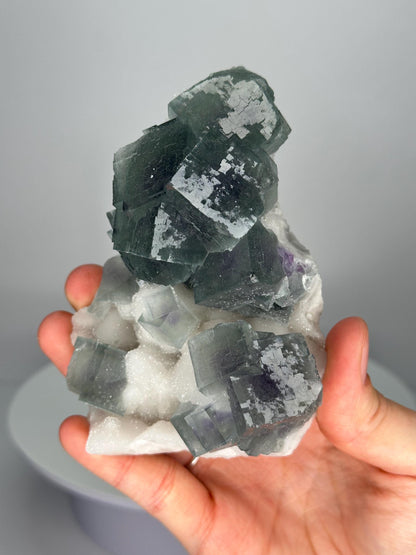 Lusterous Teal Fluorite on Quartz Base | Crystal for Calm, Clarity | Unique Collector’s Mineral | Elegant Natural Stone Display