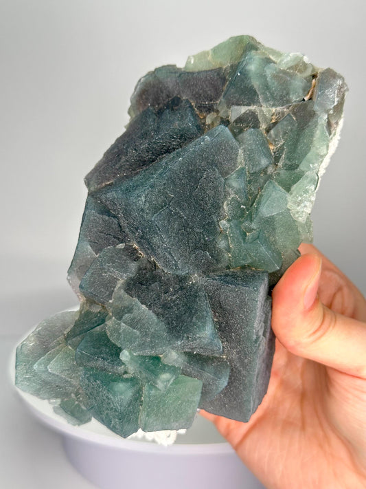 Teal Fluorite from Inner Mongolia | Soft Teal Crystal for Calm and Clarity | Collector’s Mineral Specimen | Stone Decor