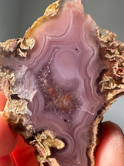 Laguna Agate Crystal Slice | Banded Agate for Grounding, Protection, and Focus | Polished Stone for Energy, Display, or Gift